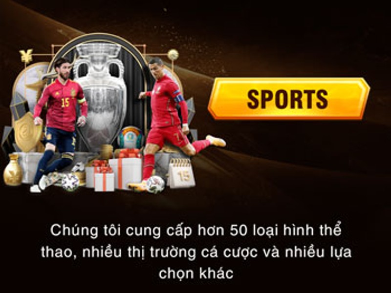 Cá cược thể thao trên halo88