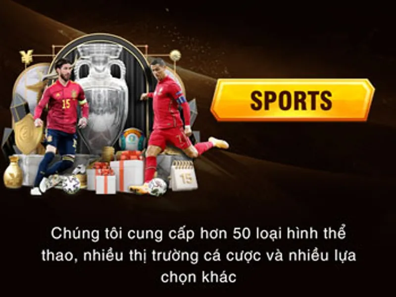 Cá cược thể thao trên halo88